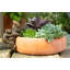 Boatner Animals UV Resistant Stone Garden Statue