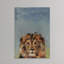 Bonjour Lion II Wrapped Canvas Painting-880396388