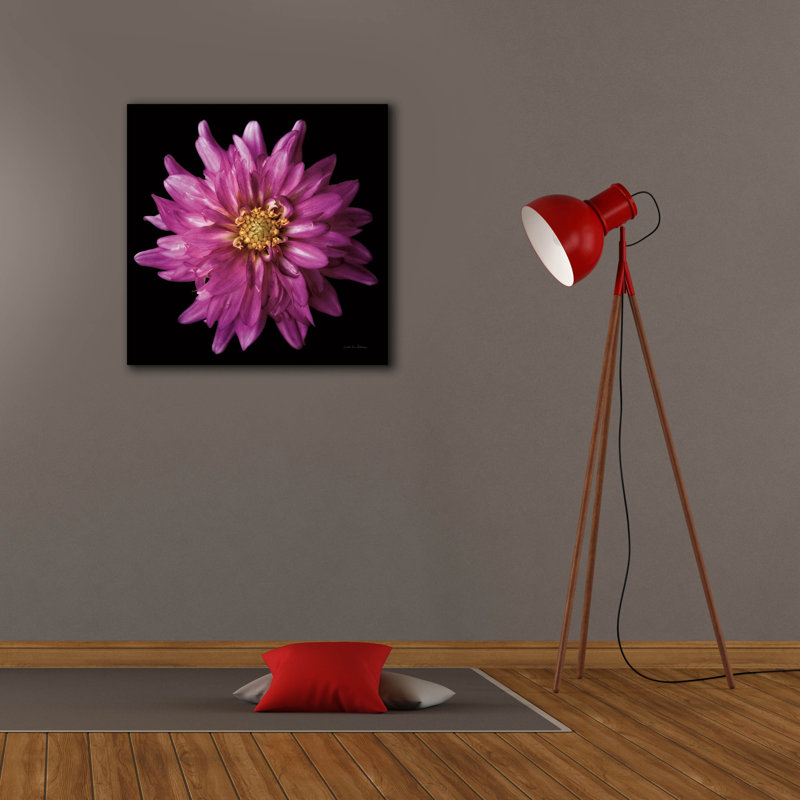 Toile épique Graffiti «Dahlia 5» par Debra Van Swearingen, 26 po x 26 po