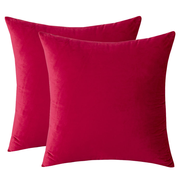 WARISI Solid Colour Velvet Throw Pillow - Wayfair Canada