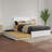Lamarkus Solid Wood Platform Bed with Footboard & Trundle-1339446381-1339446370