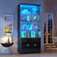 Display Cabinet-2024350694
