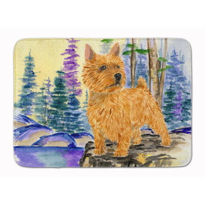 Memory Foam Non-Slip Bath Rug