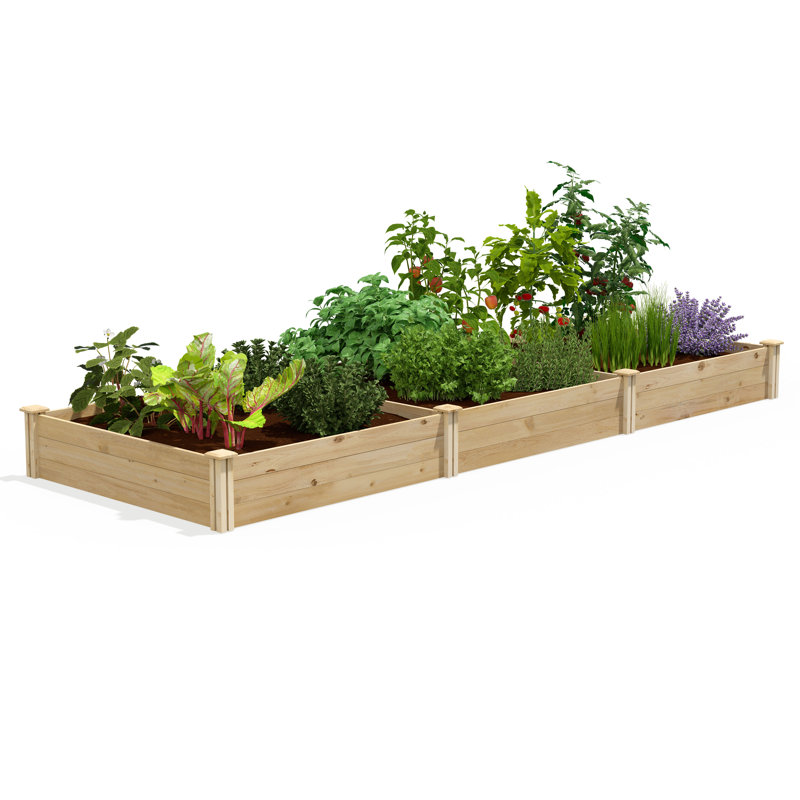 Original Cedar Raised Garden Bed, 10.5" H x 144" W x 48" D