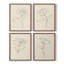 «Floral Contour Study I», ensemble de 4 encadrées-1682267173-1682267168