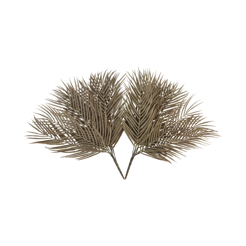 Areca Palm Stem