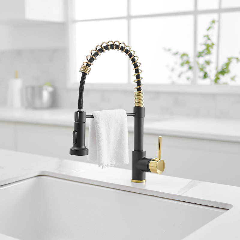 FLG Pull Down Kitchen Faucet