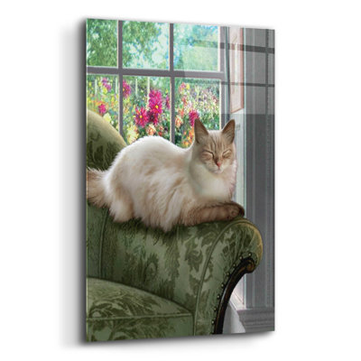 «Nine Of Earth Ragdoll Cat» par Dan Craig