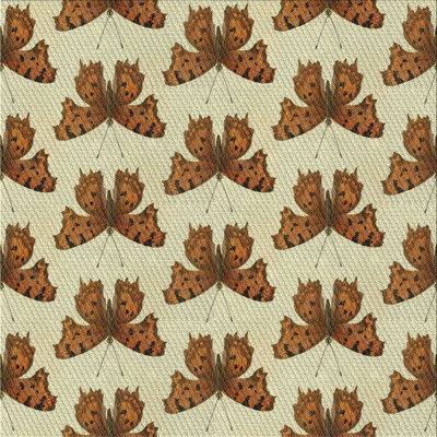 Indoor Rug