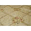 Hand Knotted Oriental Area Rug in Beige