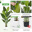 Anietra 180cm Faux Bird Of Paradise Plant in Pot