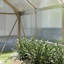Greenhouse-121411340