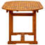 Stevenson Oval Acacia Extendable Outdoor Dining Table With Umbrella Hole , 170cm cm W 80cm cm D