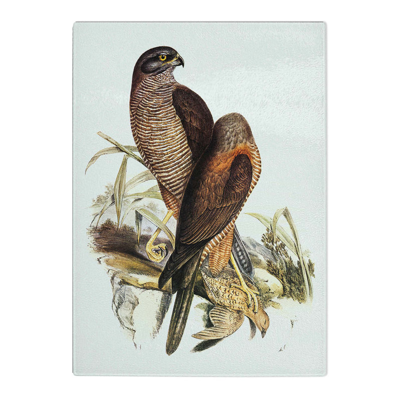 Tempered Glass Australian Goshawks by Elizabeth Gould Chopping Board, 39cm W x 28.5cm L