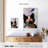 Brampt Cat And Butterfly-108441029