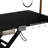 Electric Pet Grooming Table