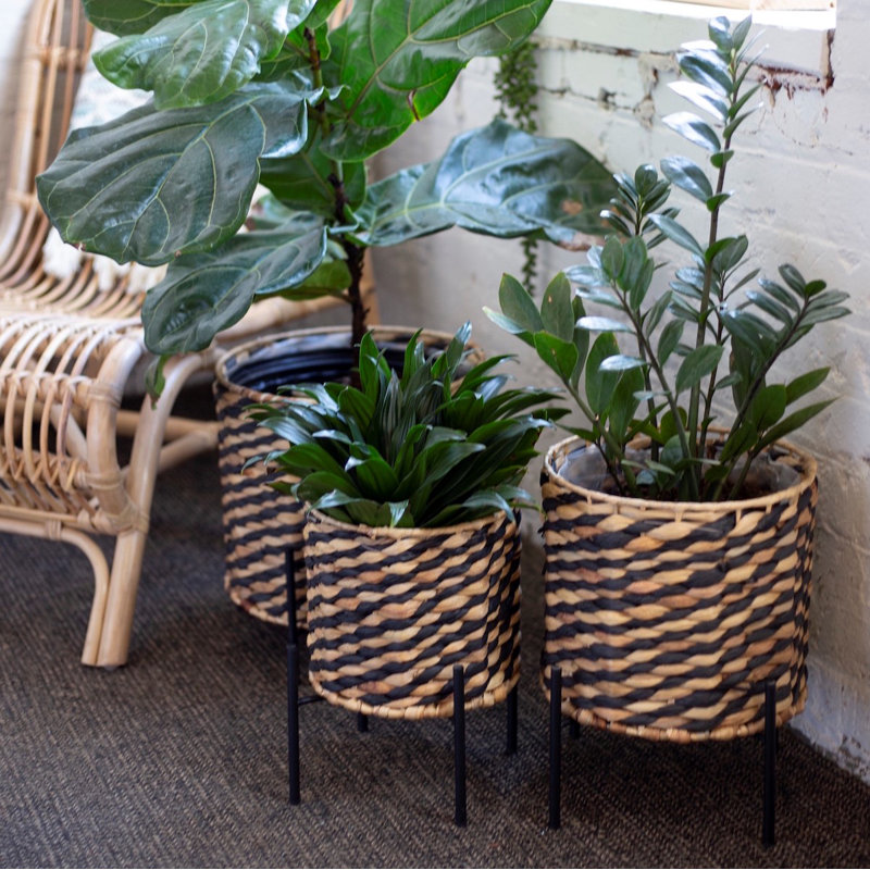 ENSEMBLE DE 3 PANIERS À PLANTES DOUBLÉS