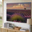 Toile, un champ de lavande vibrant au coucher du soleil avec des grappes de fleurs, lavande mauve au premier plan-821529485