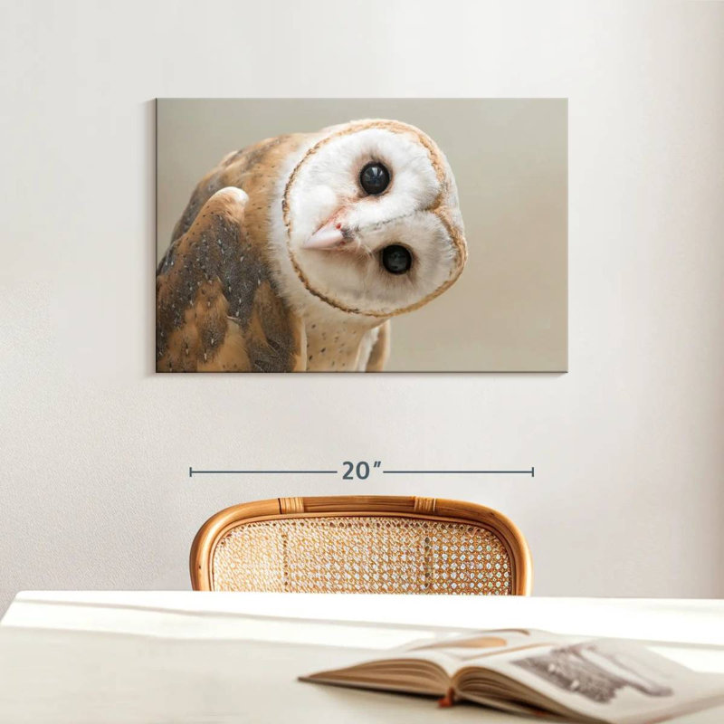 Brampt Barn Owl Gaze, 16" H x 24" W