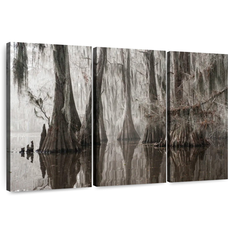 Arbres Harnek poussant dans le lac Caddo, H 48 po x l 74 po