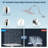 10'' High Pressure Rainfall Shower Head, Handheld  Showerhead Combo With 12'' Adjustable Shower Extension Arm, 10-Spray, 71'' Hose-119471799