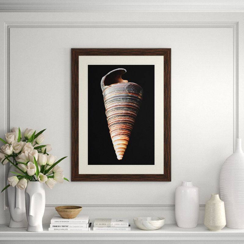 Large Shell 6 Print