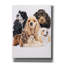 «Cocker Spaniel» par Barbara Keith, art mural sur toile-1589895051