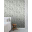 Rouleau de papier peint bouleau L 33 pi x l 20,5 po Kaori-1045911432