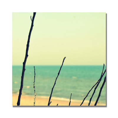 « branches on the beach » par michelle calkins, reproduction de photo sur toile