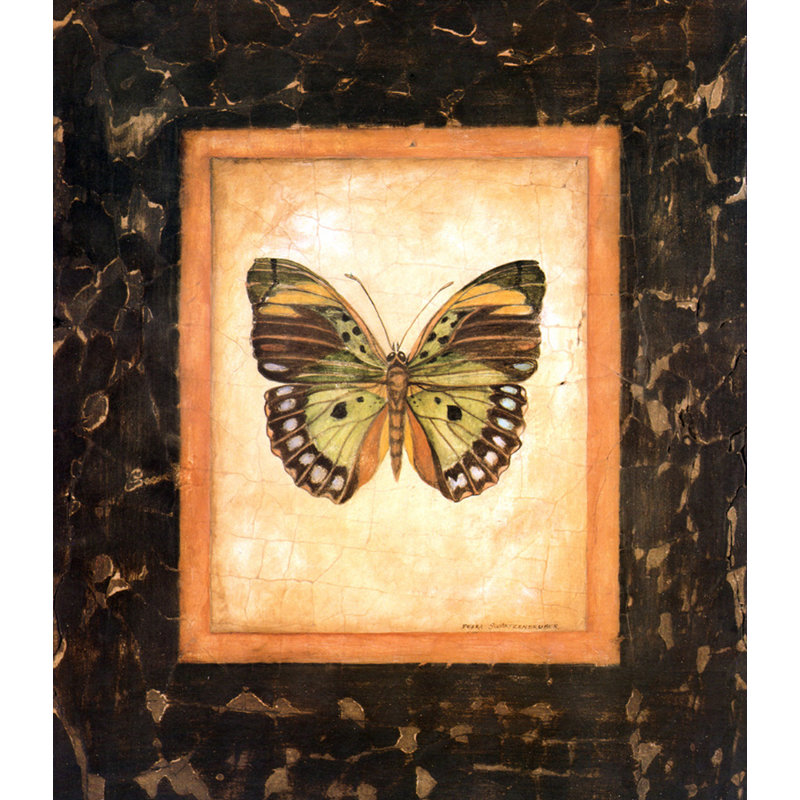 Papillon de la Sierra Léone, H 17 po x l 15 po