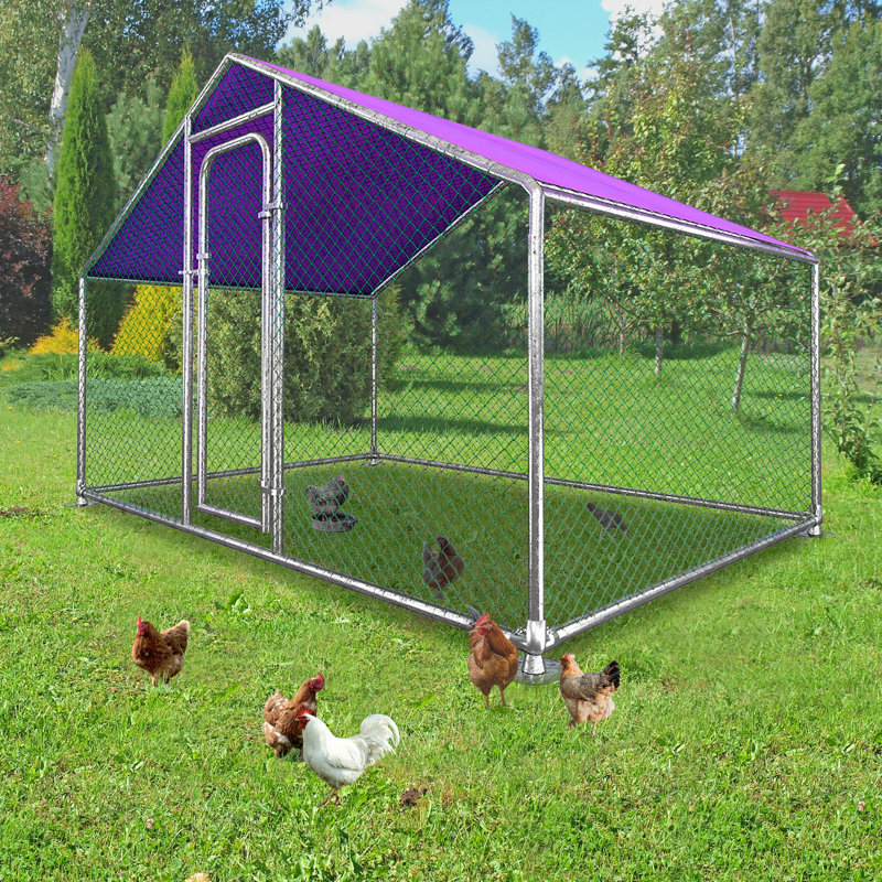 Parc à poules avec grillage métallique Ezekiel