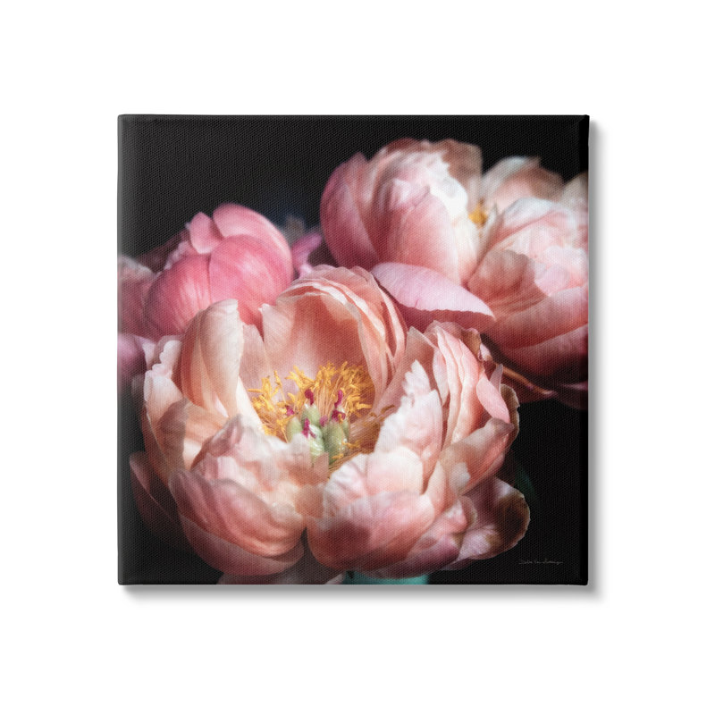 Blooming pivoine - impression sur toile tendue, H 24 po x l 24 po x P 1,5 po
