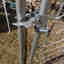 Customer photo 2 of 3
