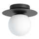 Nasim Single Light Glass Flush Mount