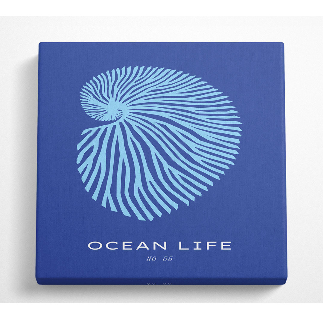 Ocean Life Shell Blue - Leinwanddrucke