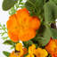 Couronne de fleurs orange vif de 24 pouces avec décoration florale luxuriante avec décorations d'eucalyptus et de fougères