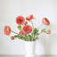 Ranunculus Faux Floral-1373698712