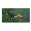 «Toco Toucan», reproduction de peinture acrylique sur toile tendue-33539089