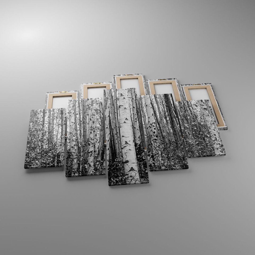 5-tlg. Leinwandbilder-Set Birch Trees Forest Monochrome