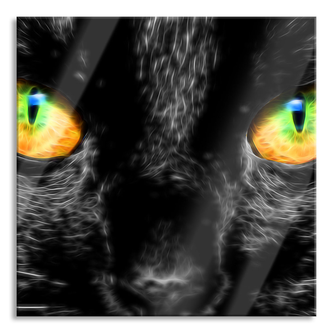 Glasbild Schwarze Katze mit magischen Augen