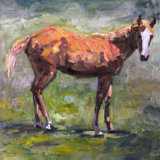 FOAL - Unframed Print on Canvas
