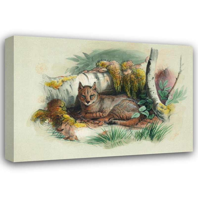 "Le chat égyptien" par Joseph Wolf, toile tendue avec châssis, H 33 po x l 48 po