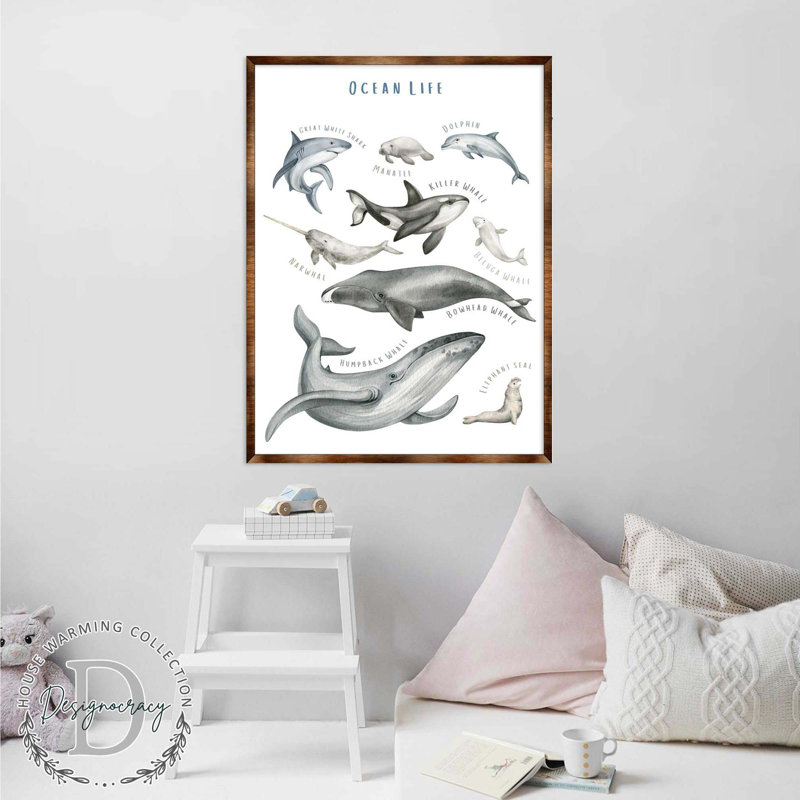 Art encadré Maone Ocean Animals, H 16 po x l 12 po x P 0,5 po