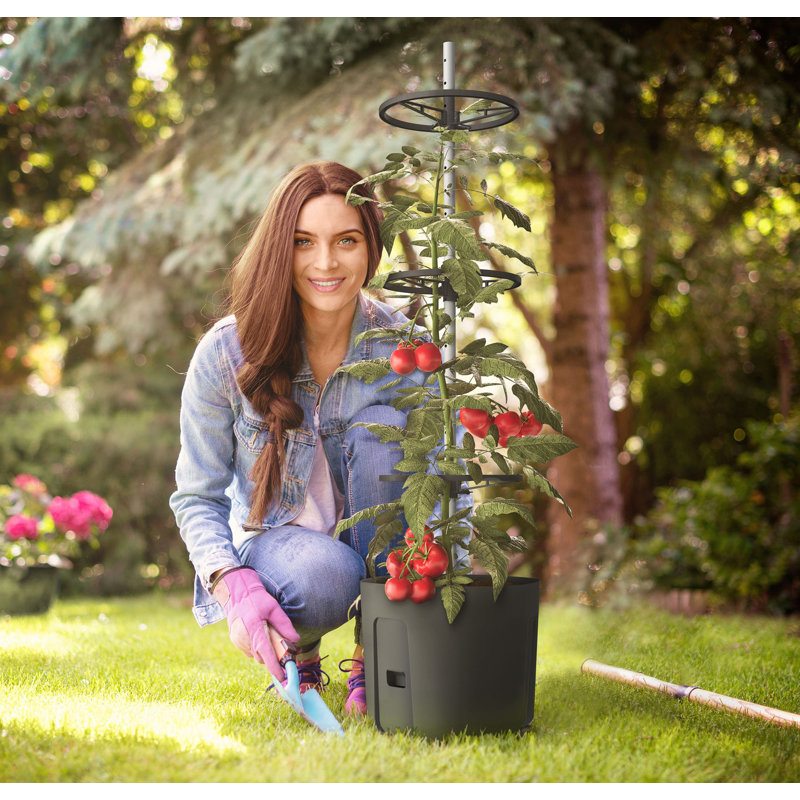 Bawan Planter - Self-watering Tomato Climber Pot with Trellis, 109cm H x 29cm W x 29cm D, 2