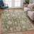 Machine Washable Indoor/Outdoor Chantille ACN2355 Traditional Rug-1763380447