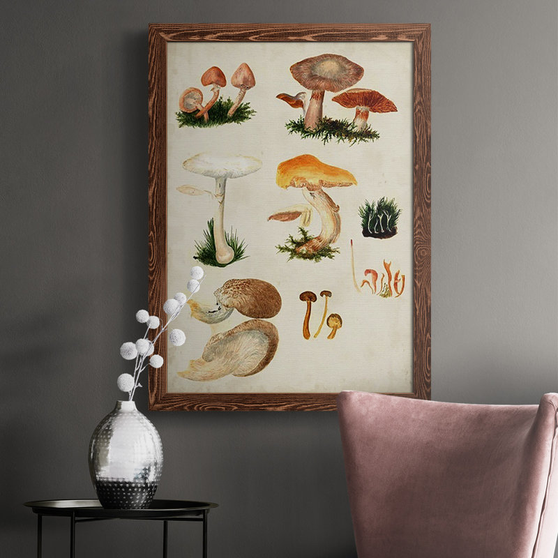 Mushroom Species IV, peinture sur toile encadrée, Érable, H 43,5 po x l 27,5 po x P 1 po
