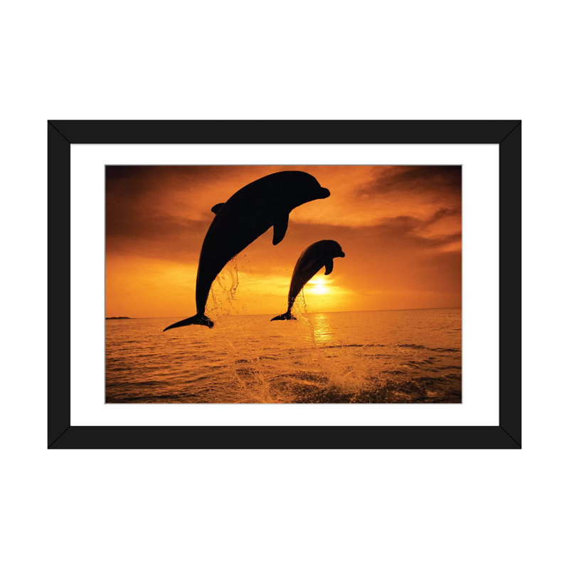 Reproduction d'art sur toile tendue, "Jilling Bottlenose Dolphins" par Stuart Westmorland, H 16 po x l 24 po x P 1 po, Blanc
