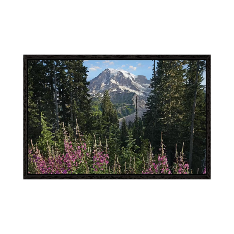 Fireweed Flowering And Mount Rainier, Mount Rainier National Park, Washington 1 Piece Wall Art on Canvas, Black Framed