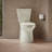 Betello 1.28 GPF (Water Efficient) Elongated Two-Piece Toilet (Seat Not Included)-39779928-44387726