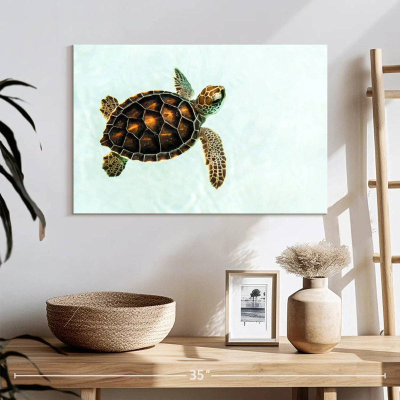 Bébé tortue Brampt, H 16 po x l 24 po
